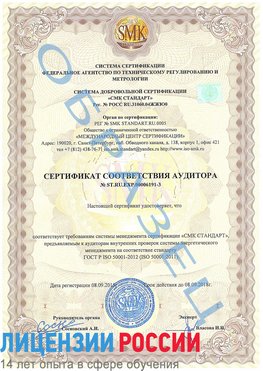 Образец сертификата соответствия аудитора №ST.RU.EXP.00006191-3 Дальнегорск Сертификат ISO 50001
